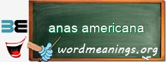 WordMeaning blackboard for anas americana